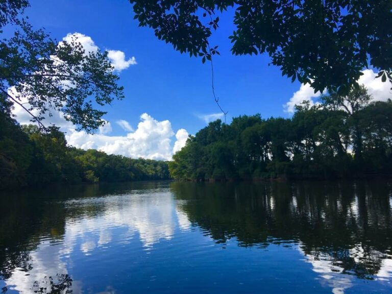 March 2, 2019 Cape Fear Farm Life